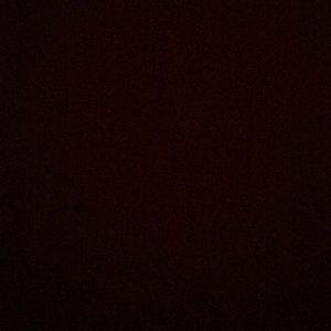 Meet your Posher, Dillon